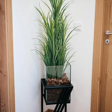 Appartement Mponto