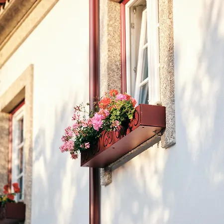 Mponto Ponte da Barca