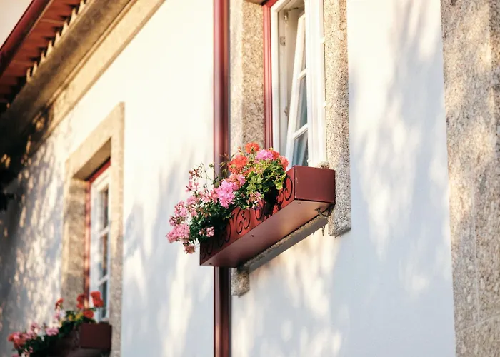 Mponto 폰테다바카