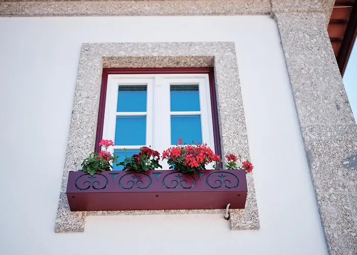 Mponto * 폰테다바카